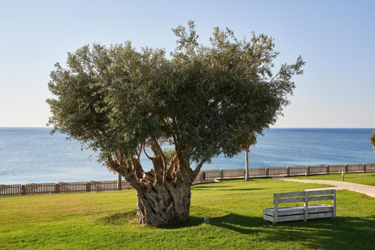 Atlantica מלון 4*